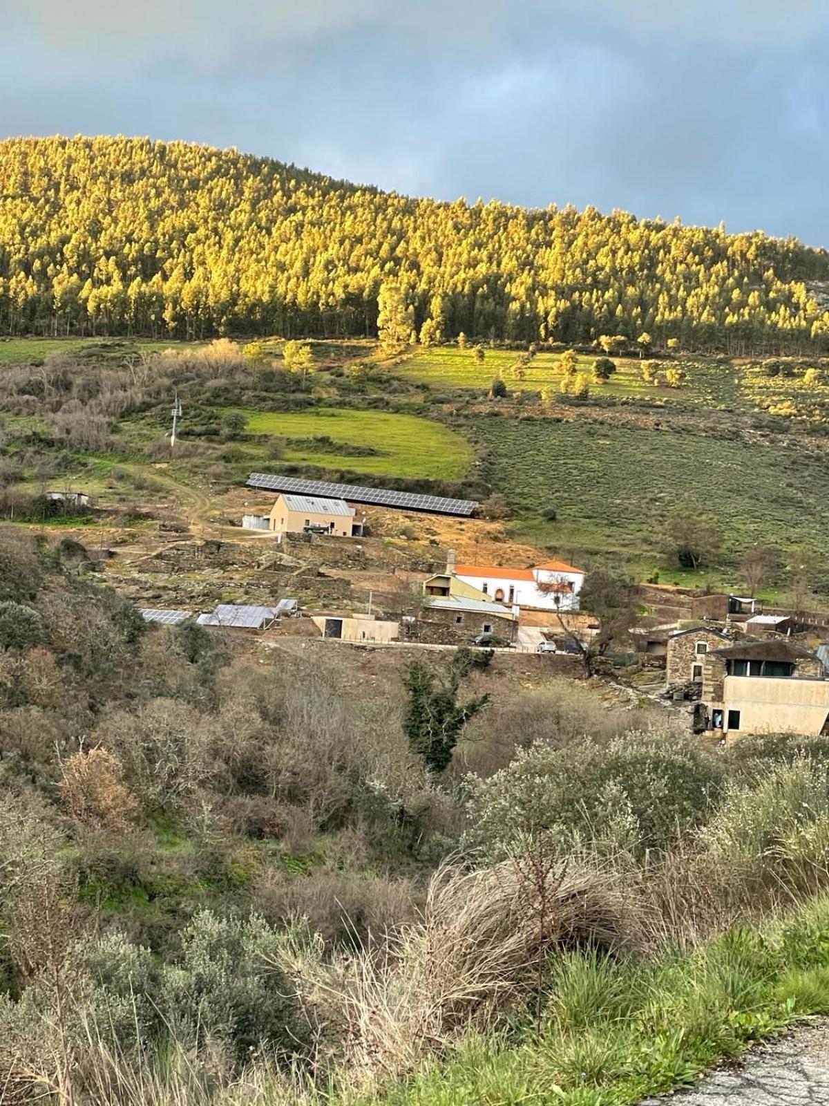 Colmeal Countryside Hotel Figueira de Castelo Rodrigo Exteriör bild