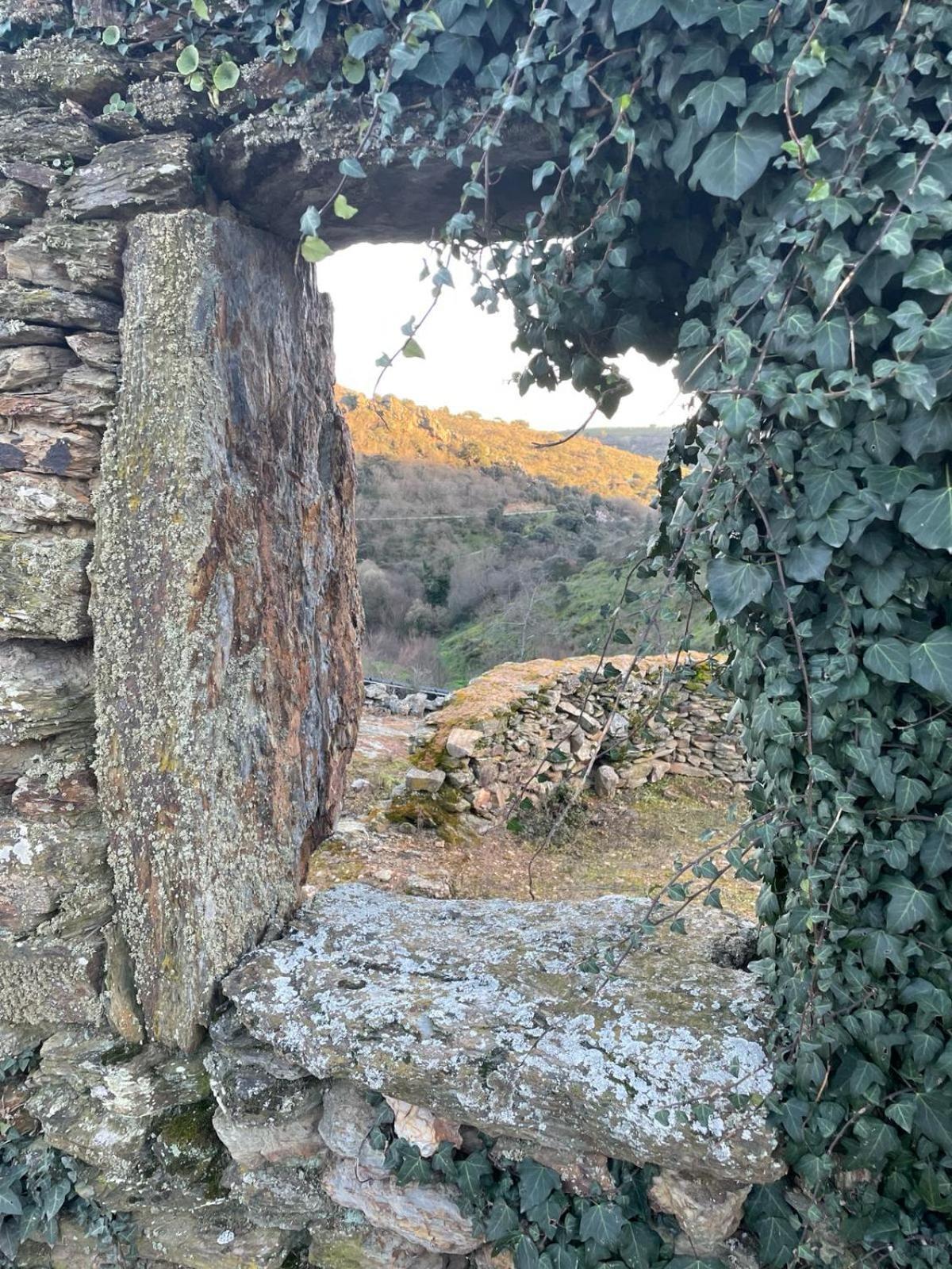 Colmeal Countryside Hotel Figueira de Castelo Rodrigo Exteriör bild